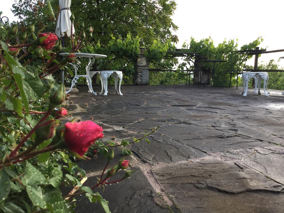 B&B Casa Della Musica Vezzano sul Crostolo Luaran gambar