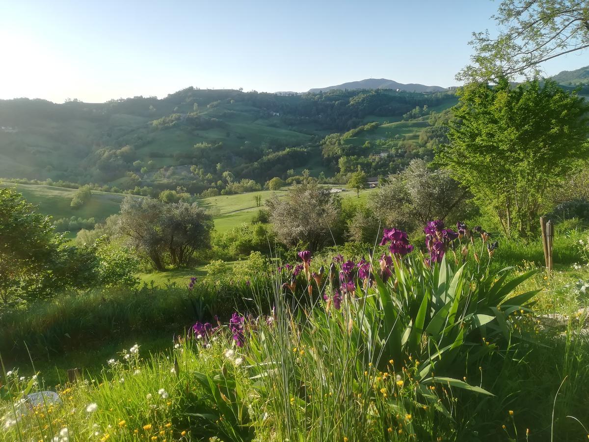 B&B Casa Della Musica Vezzano sul Crostolo Luaran gambar